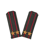 Погоны Минобороны